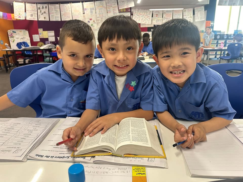 164343123018956_809472505172678-1