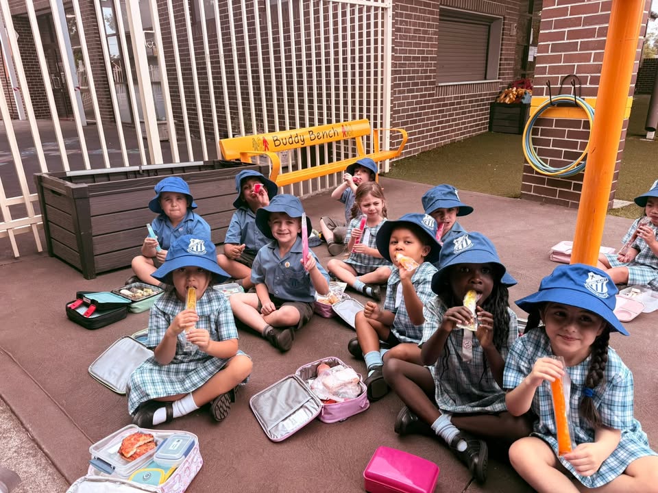 164343123018956_907553298697931-1