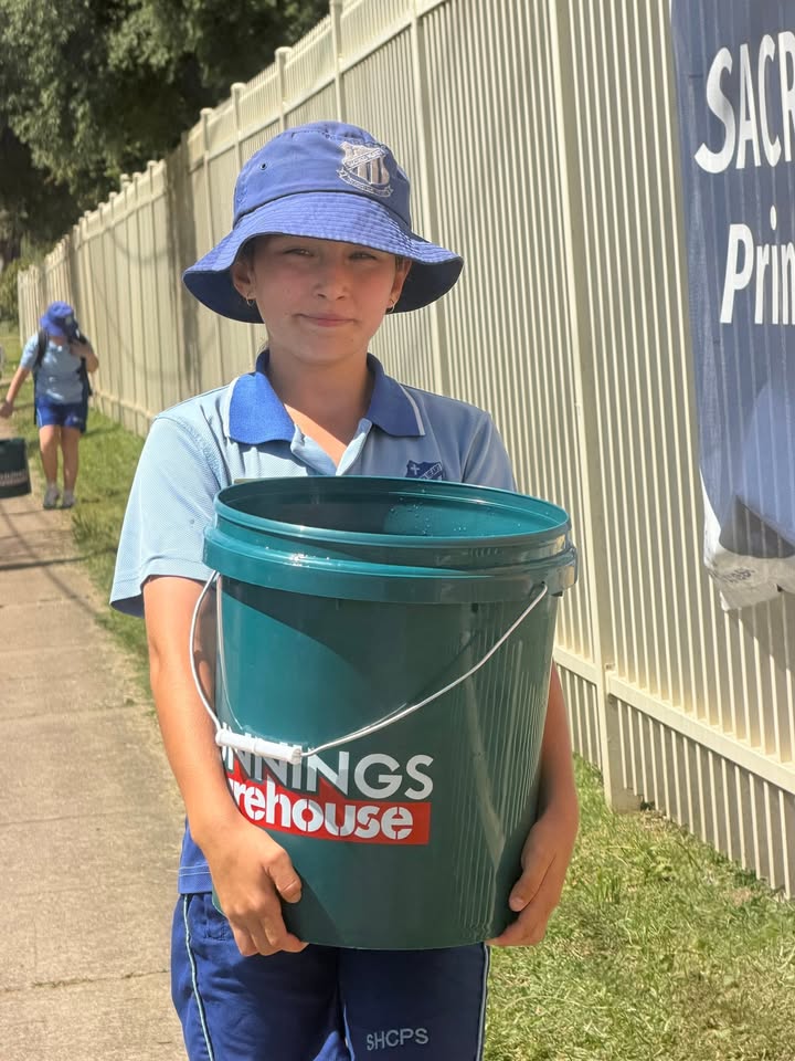 164343123018956_916608827792378-1